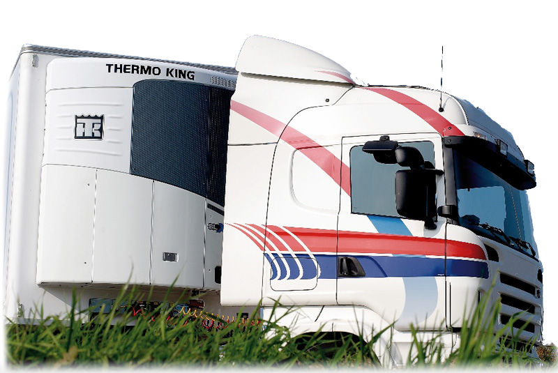 запчасти Thermo King